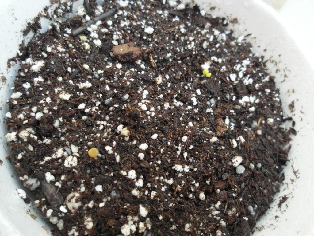 28-07-13_zps80442146.jpg