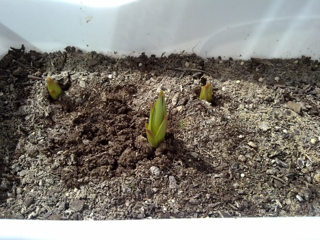 28022011216.jpg