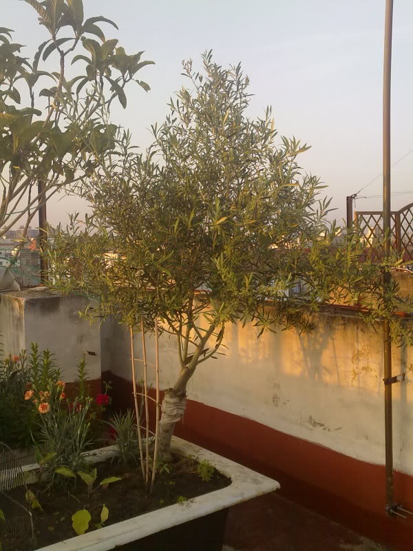 28042010095.jpg