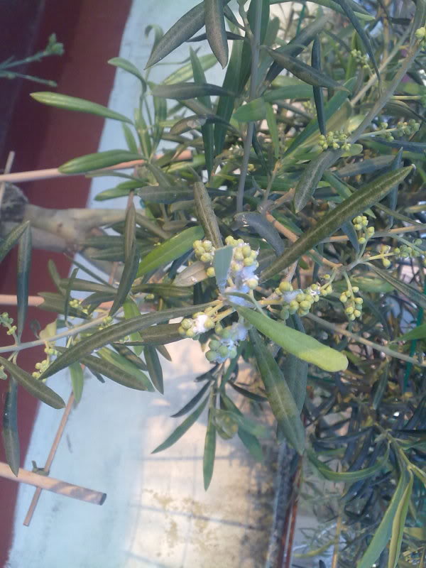 28042010096.jpg