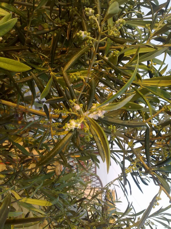28042010097.jpg