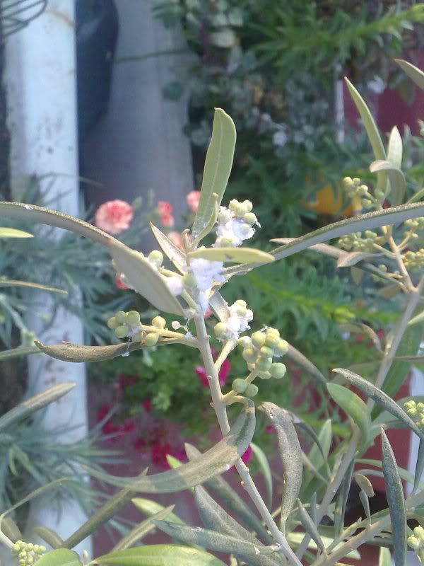 28042010098.jpg