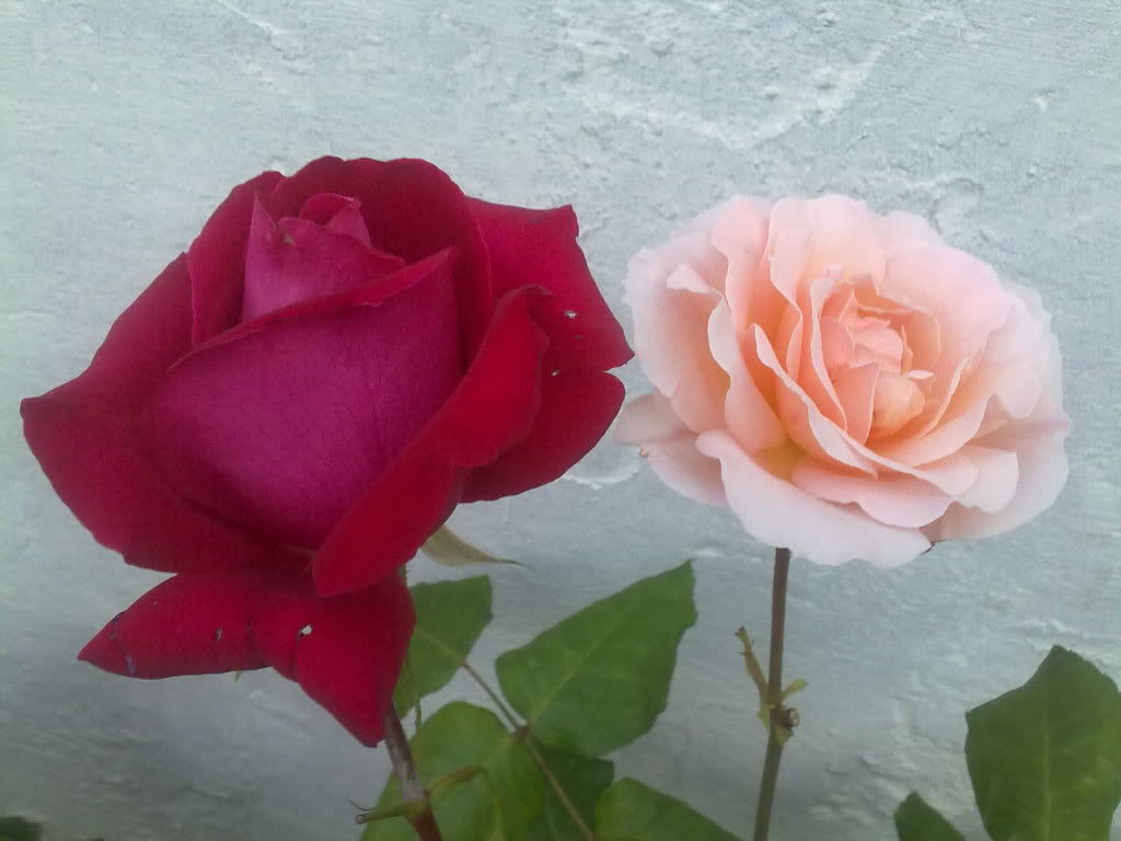 280420111725.jpg