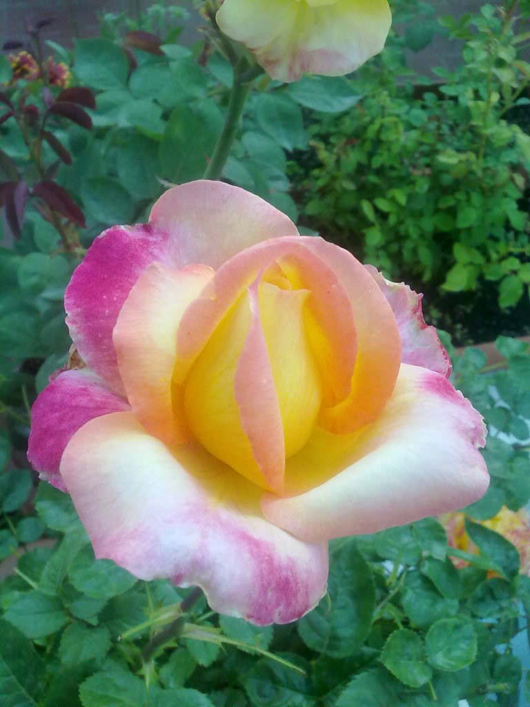 280420111735.jpg
