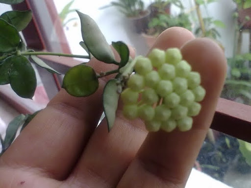 280620113328.jpg