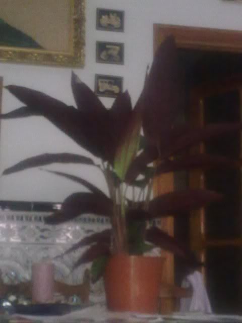 28062011803.jpg