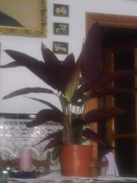 28062011804.jpg