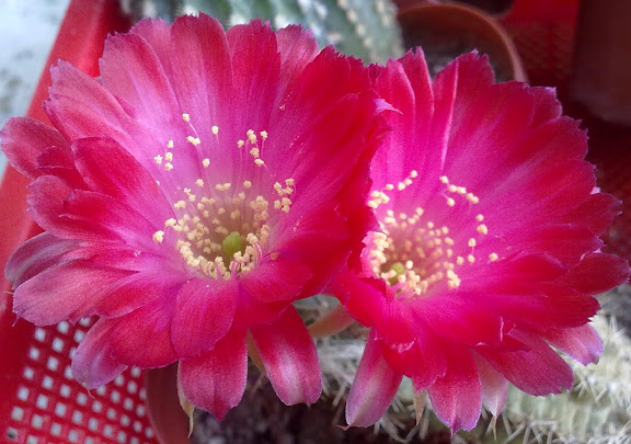 280720122237.jpg