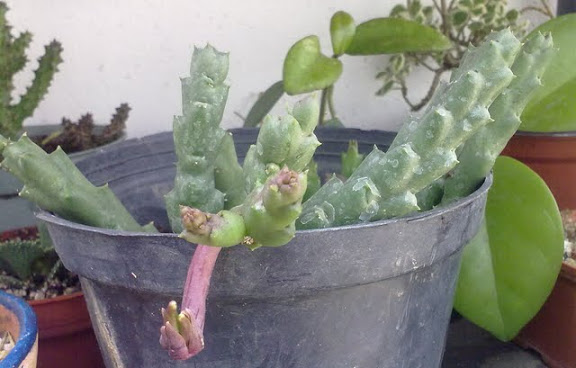 280820114079.jpg