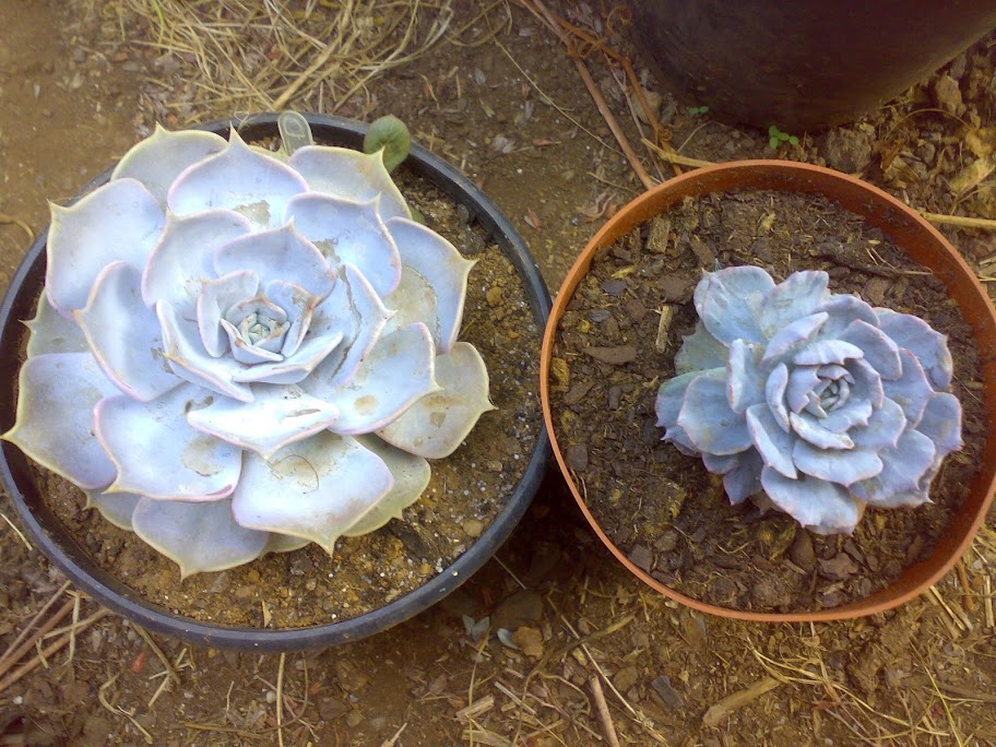 2808201213874.jpg