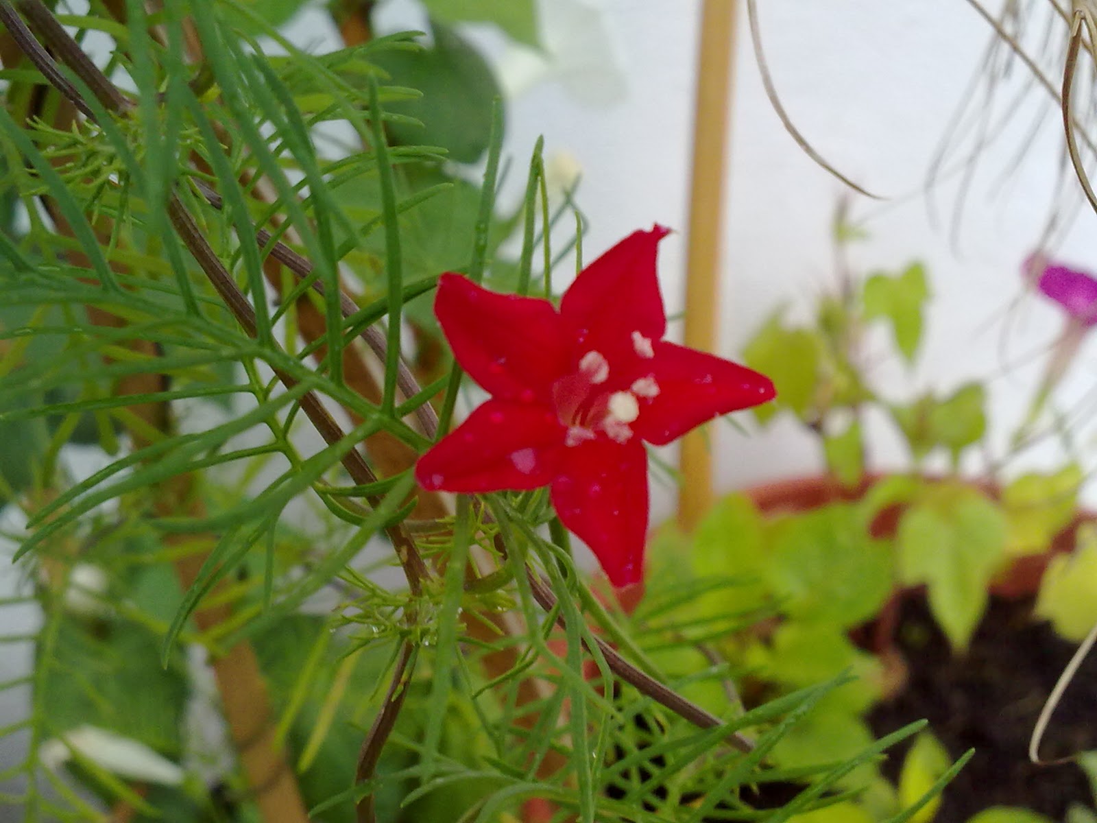 280920103787.jpg