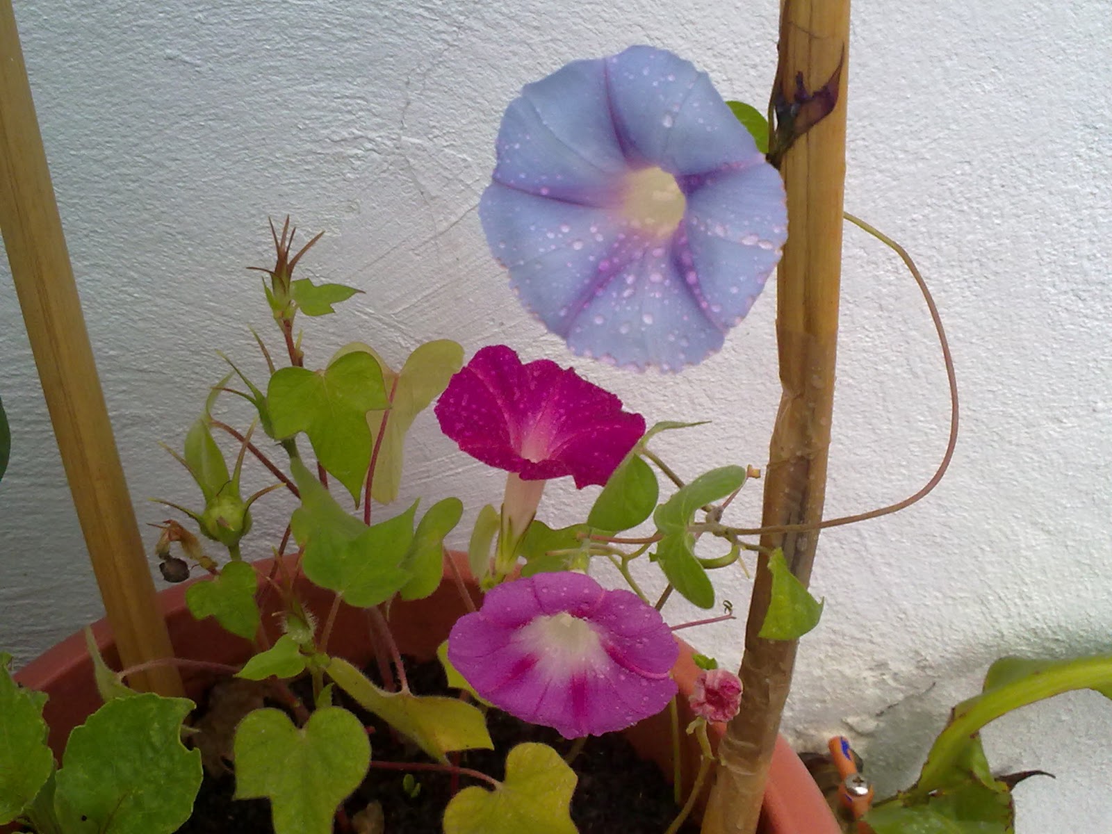 280920103788.jpg
