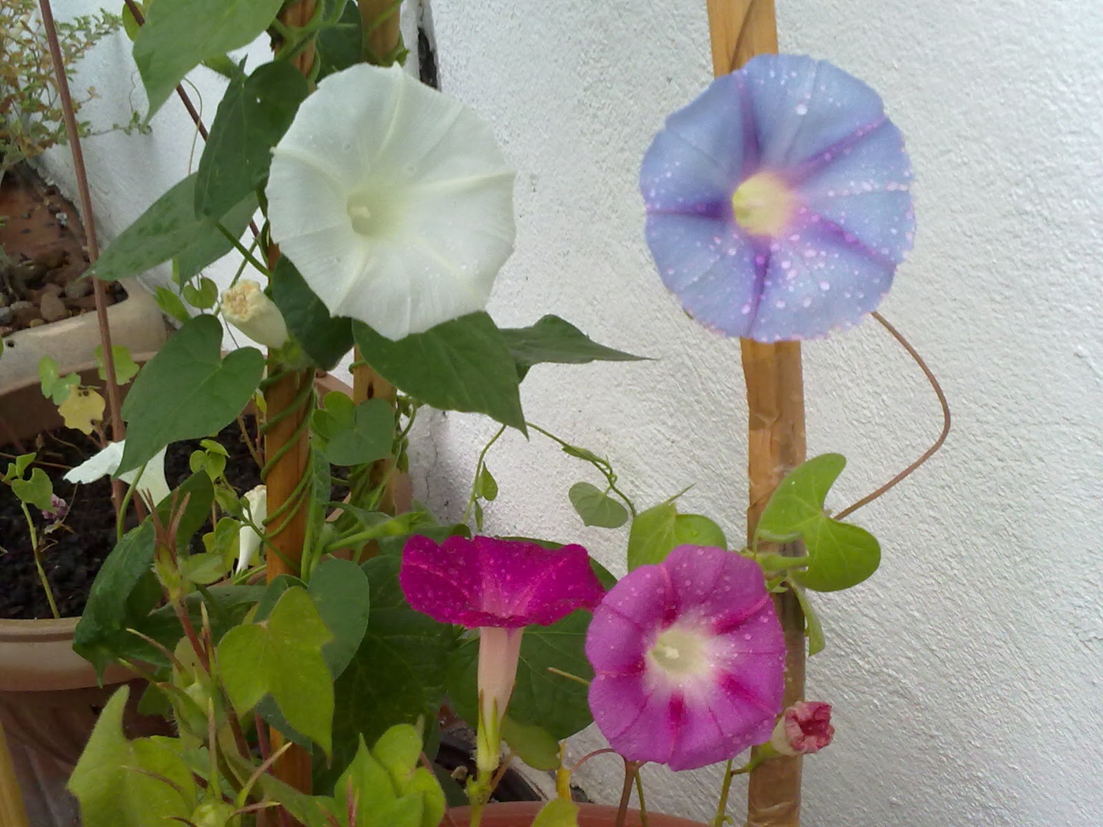 280920103789.jpg