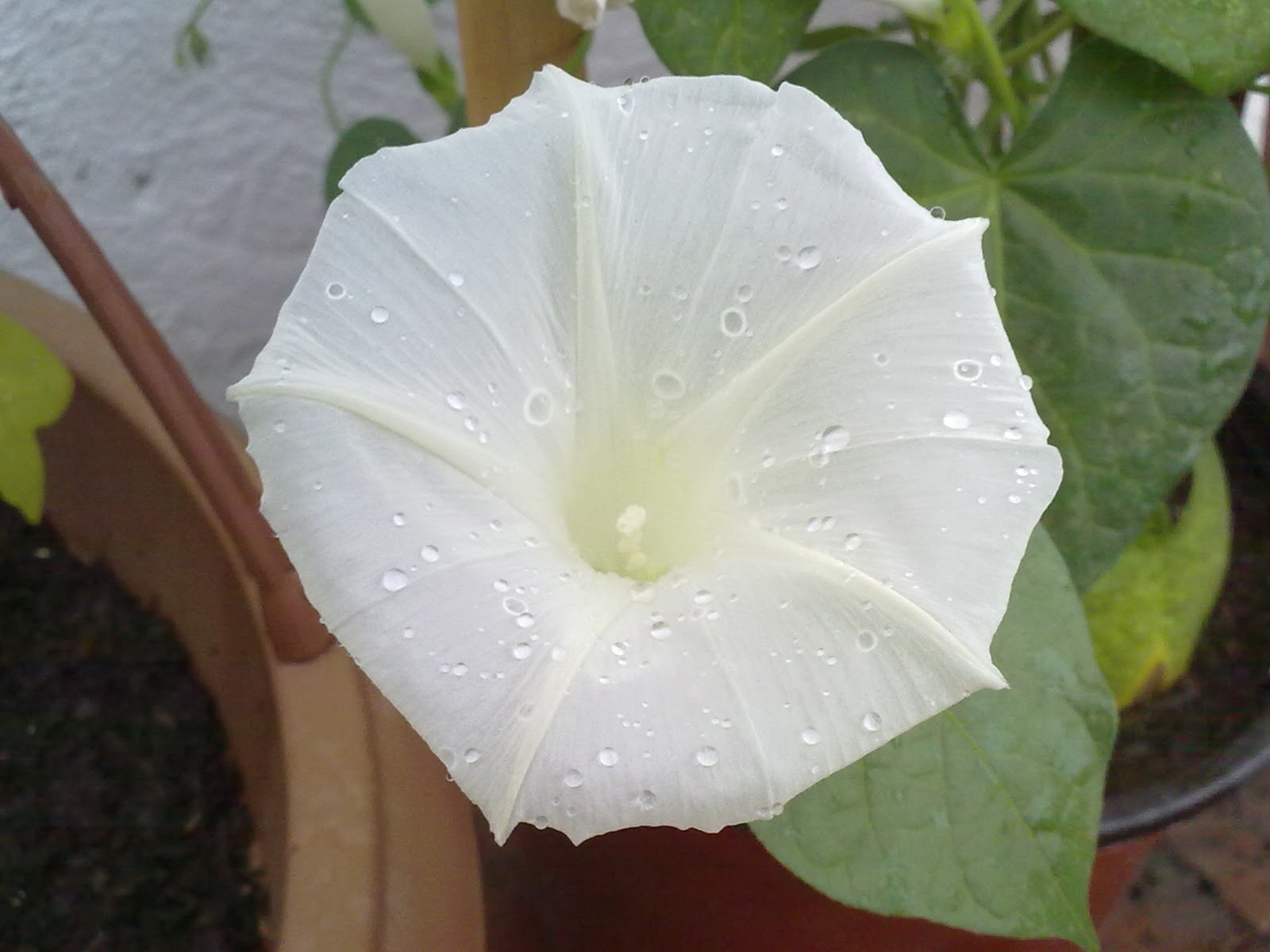 280920103790.jpg