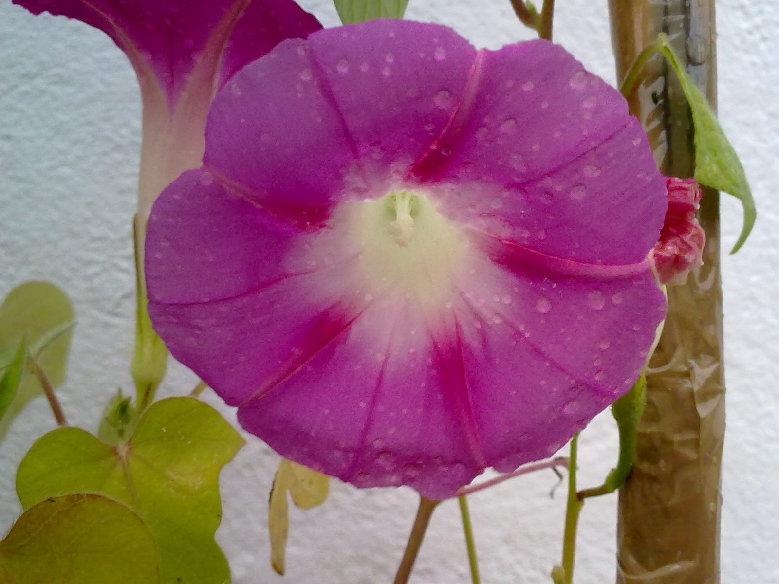280920103791.jpg