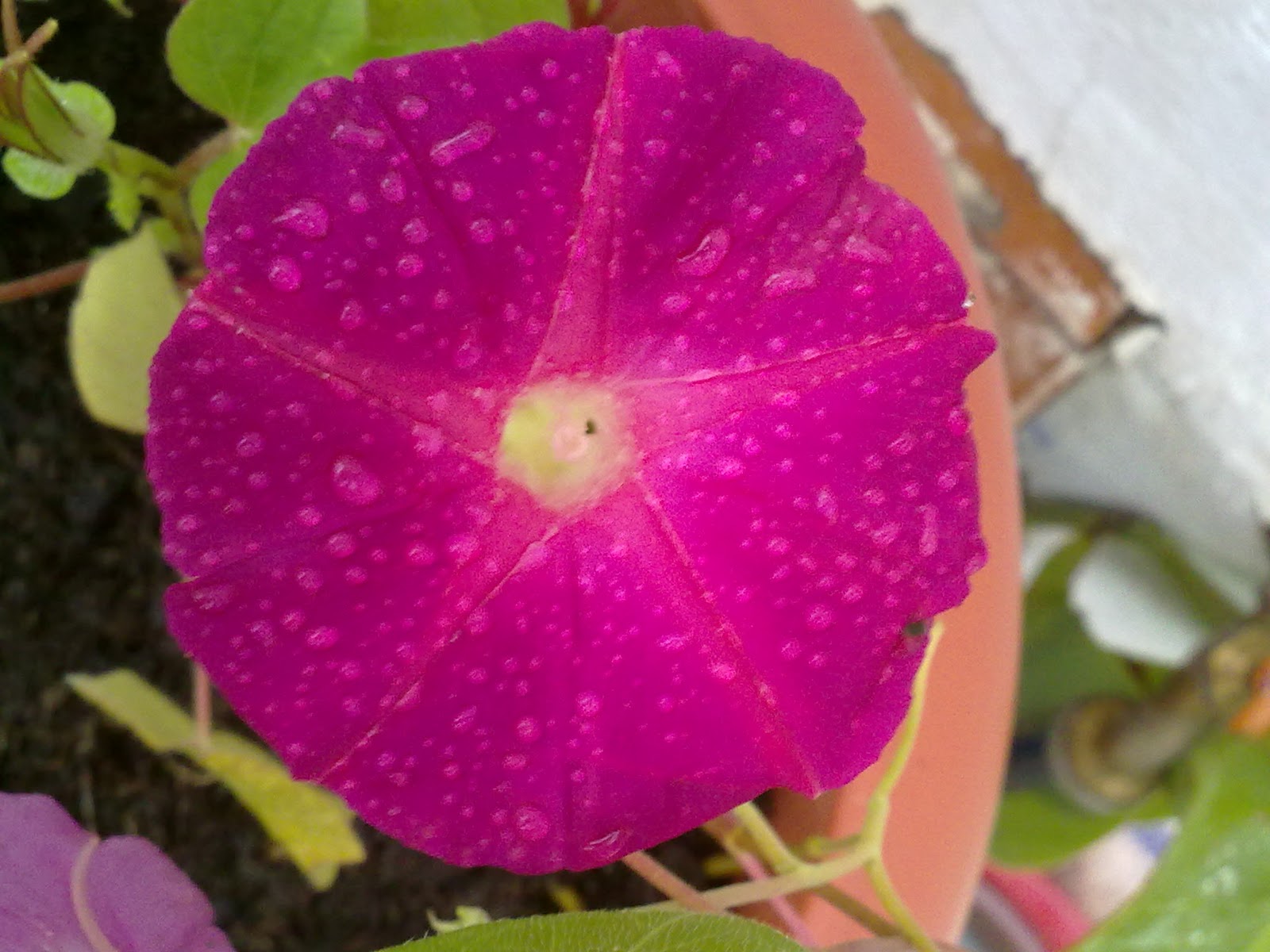 280920103793.jpg