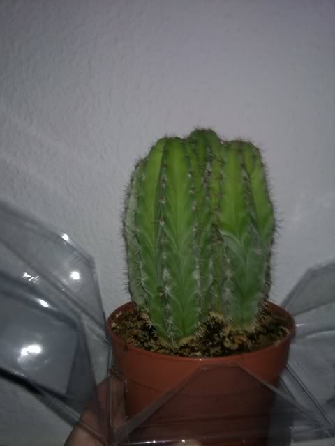 280920111562.jpg
