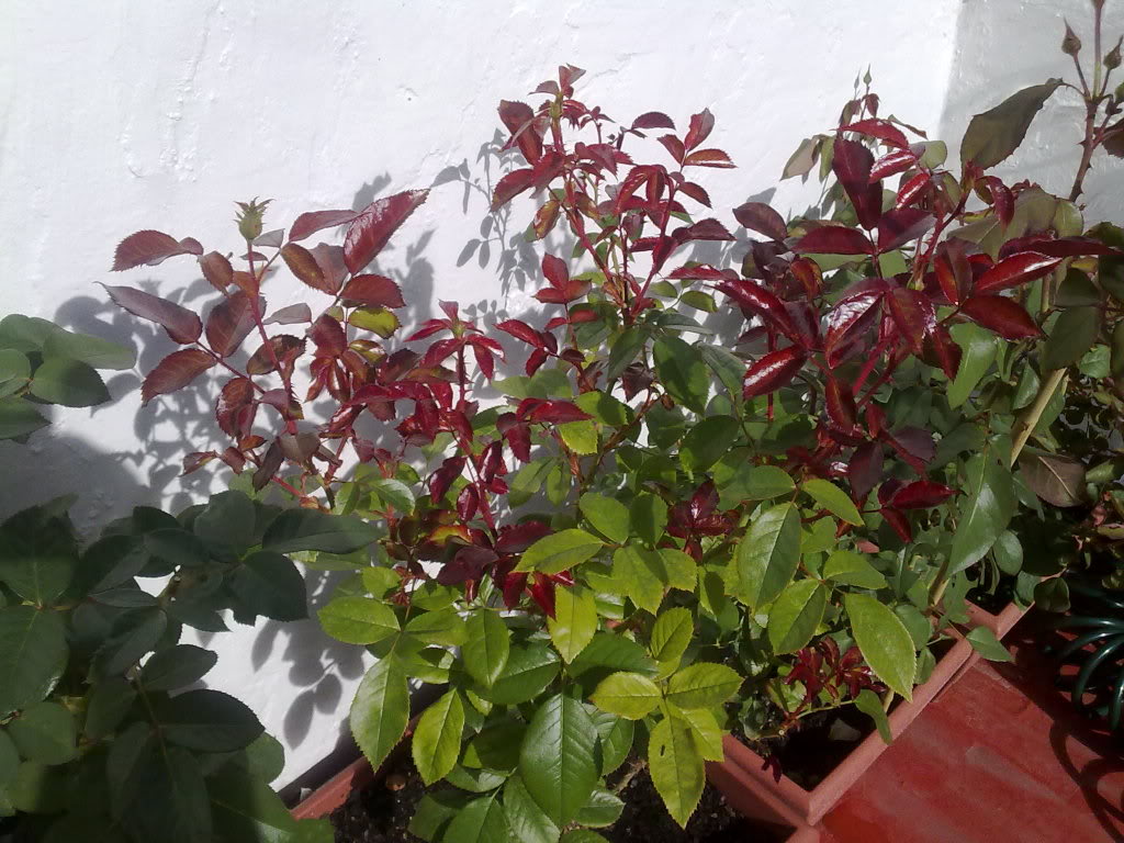 28102010999.jpg