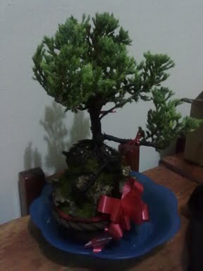 28122010309.jpg