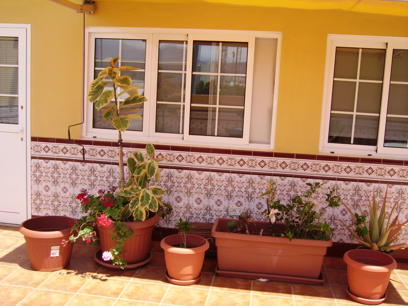 2816c5x.jpg