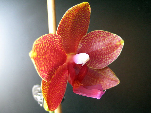 281e0a81.jpg