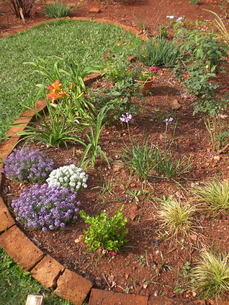 28241d1317782153t-diseno-del-patio-jardin-cimg6400.jpg