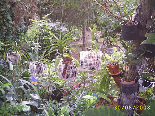 2828503680_15c6114f95.jpg