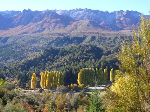 28378_97041602_1-Vendo-campo-en-Patagonia-El-Foyel-entre-Bariloche-y-Bolson-El-Bolson-1275328378.jpg