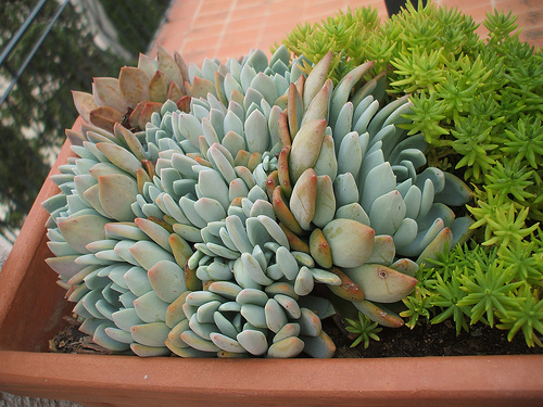 2846809434_4323fd144e.jpg