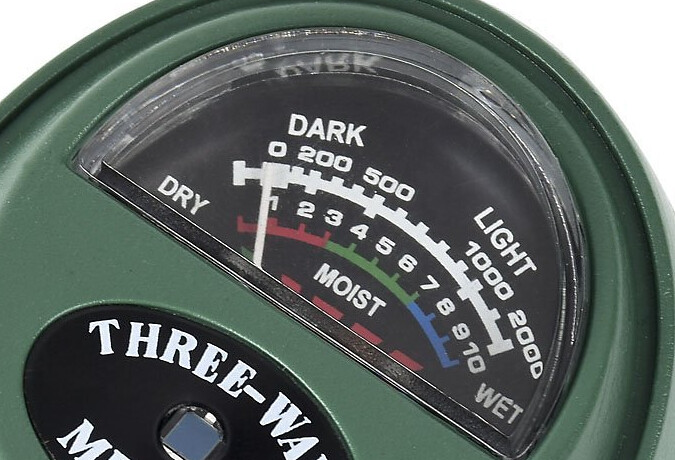 28496980832_7496865c50_b.jpg