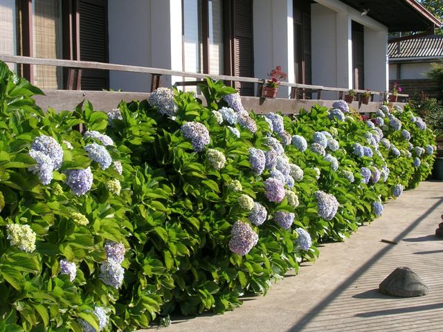 28_febrero_07_032.jpg