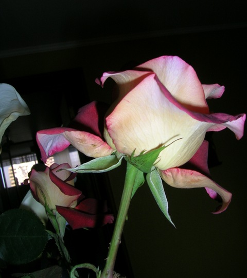 28_Mayo_002.jpg