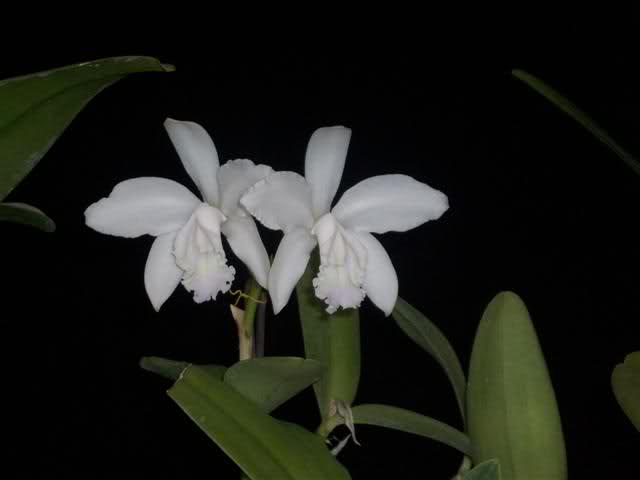28bbb6b.jpg
