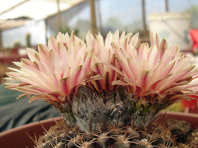28f53f49.jpg