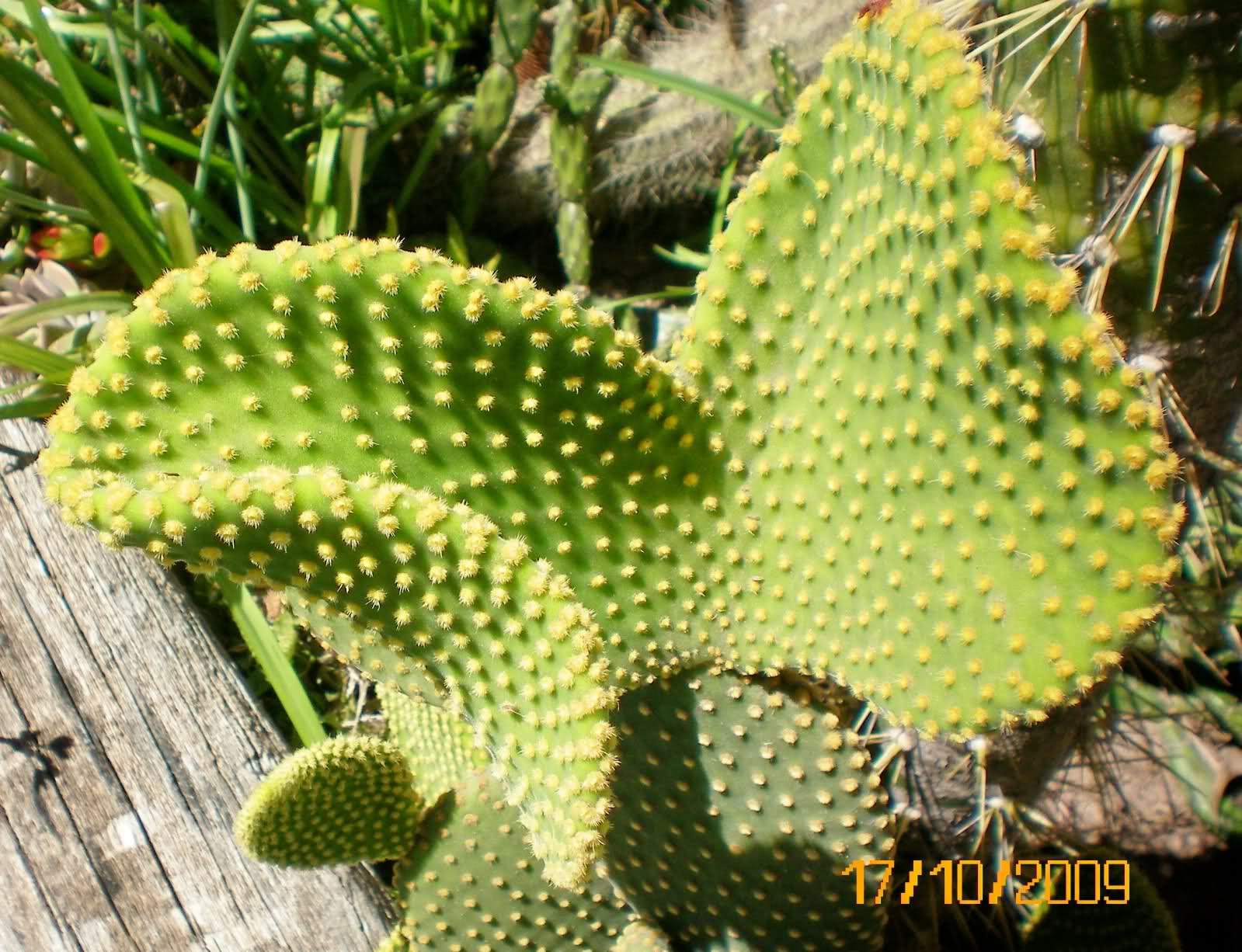 28i5j6e.jpg