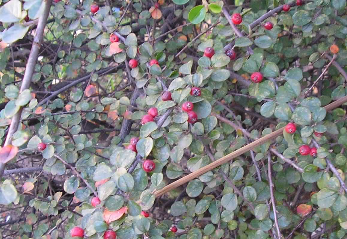 28ml93q.jpg