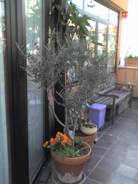29-03-06_1355.jpg