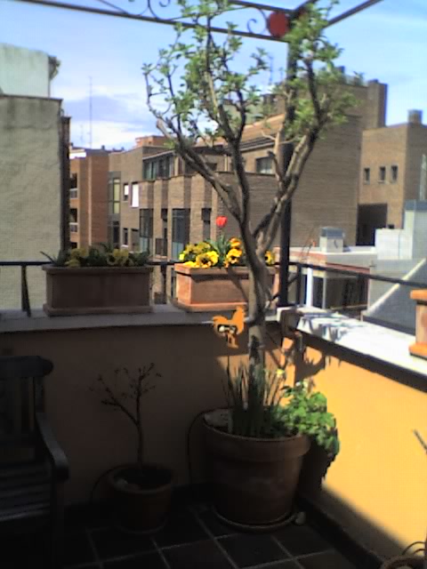 29-03-06_1358.jpg