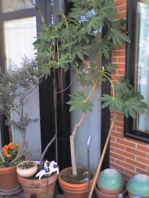 29-03-06_1403.jpg