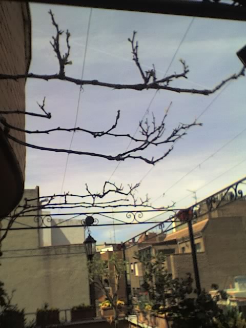 29-03-06_1407.jpg