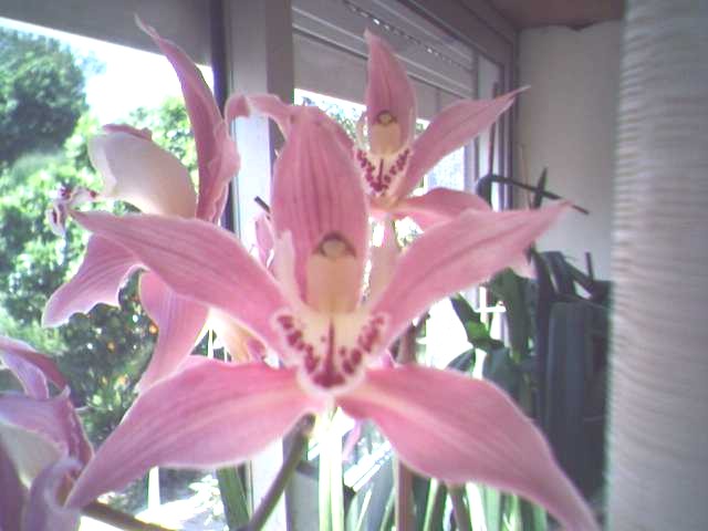 29-04-06_1425.jpg