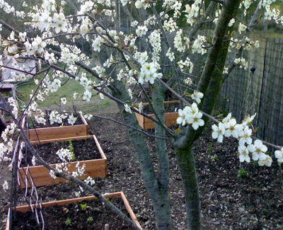 29032010433_edited.jpg