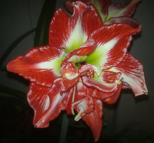 290320121098.jpg