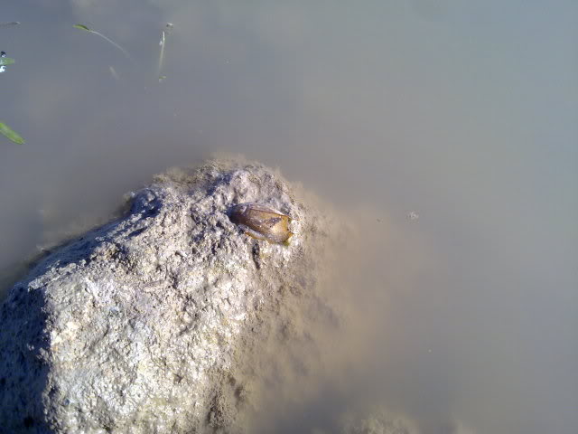 29042010192.jpg