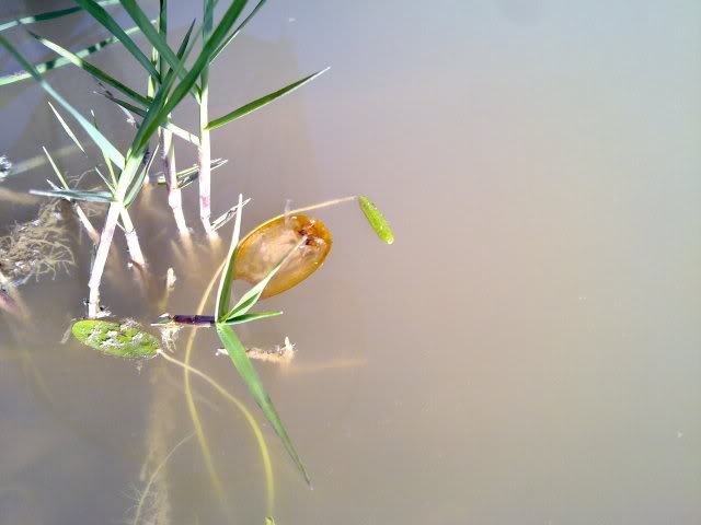 29042010193.jpg