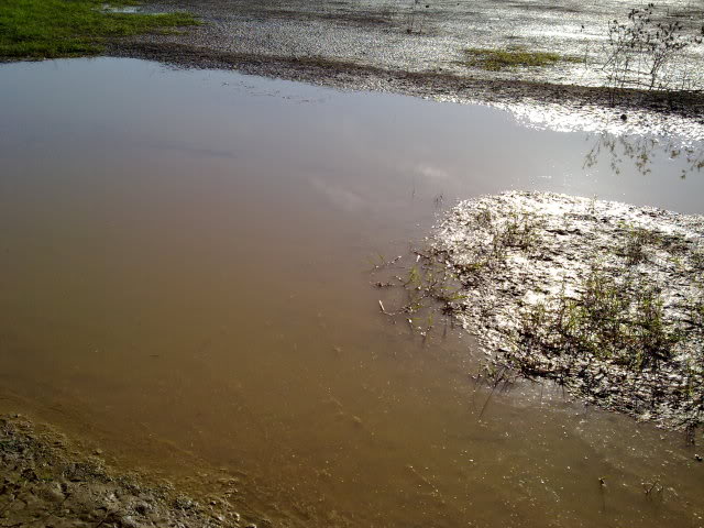 29042010197.jpg