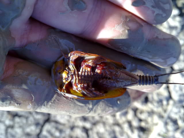 29042010203.jpg