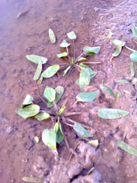 29042010204.jpg