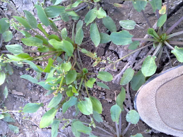29042010205.jpg