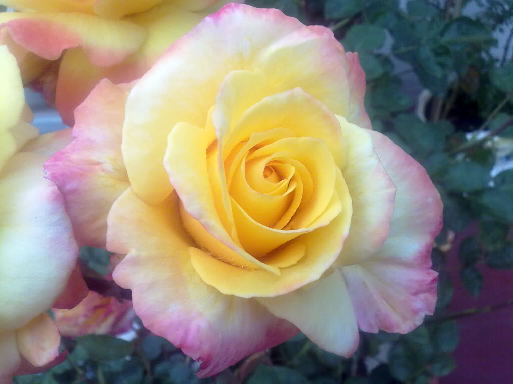 290420111756.jpg